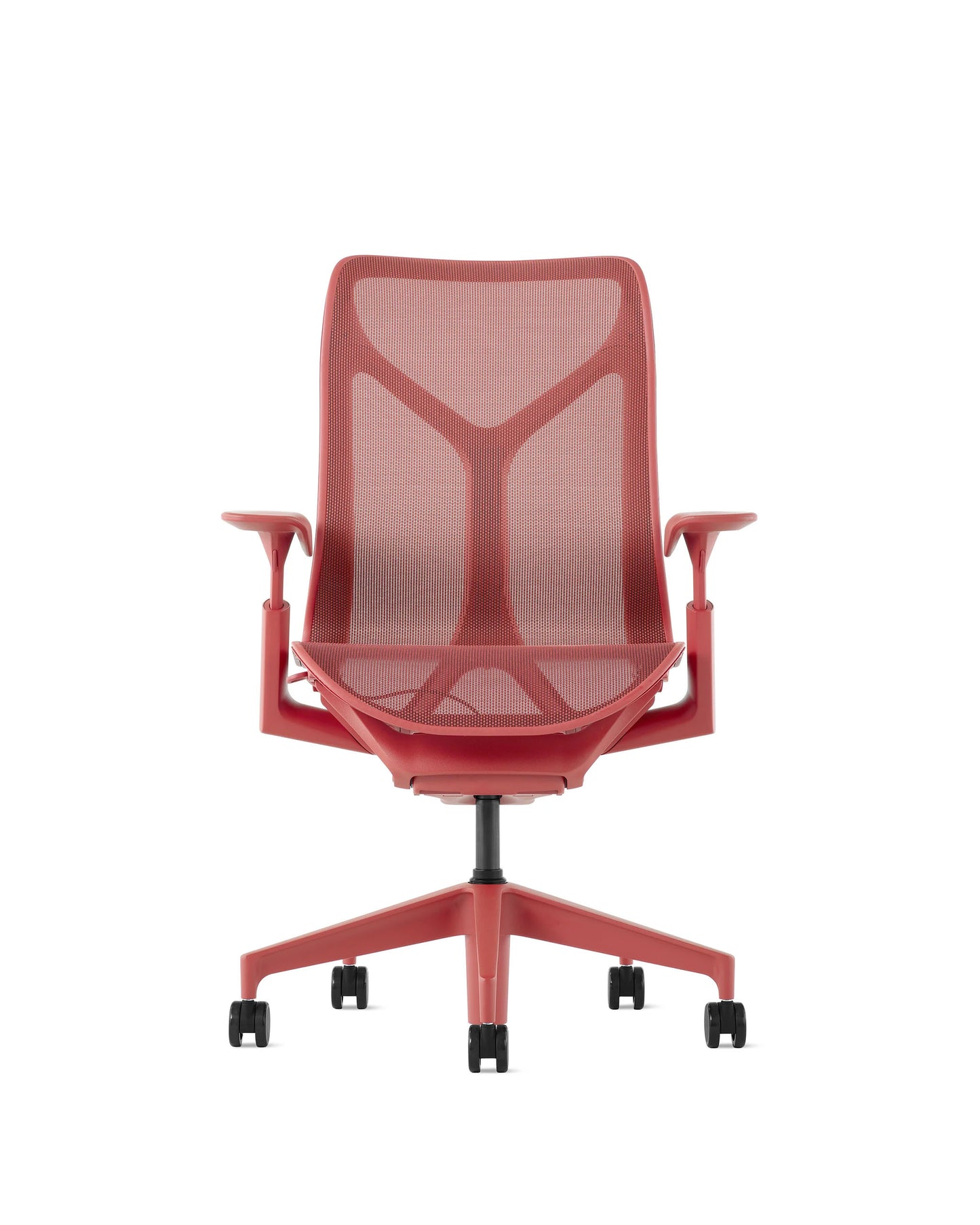 Cosm Medium Back | Canyon | Standard høyde