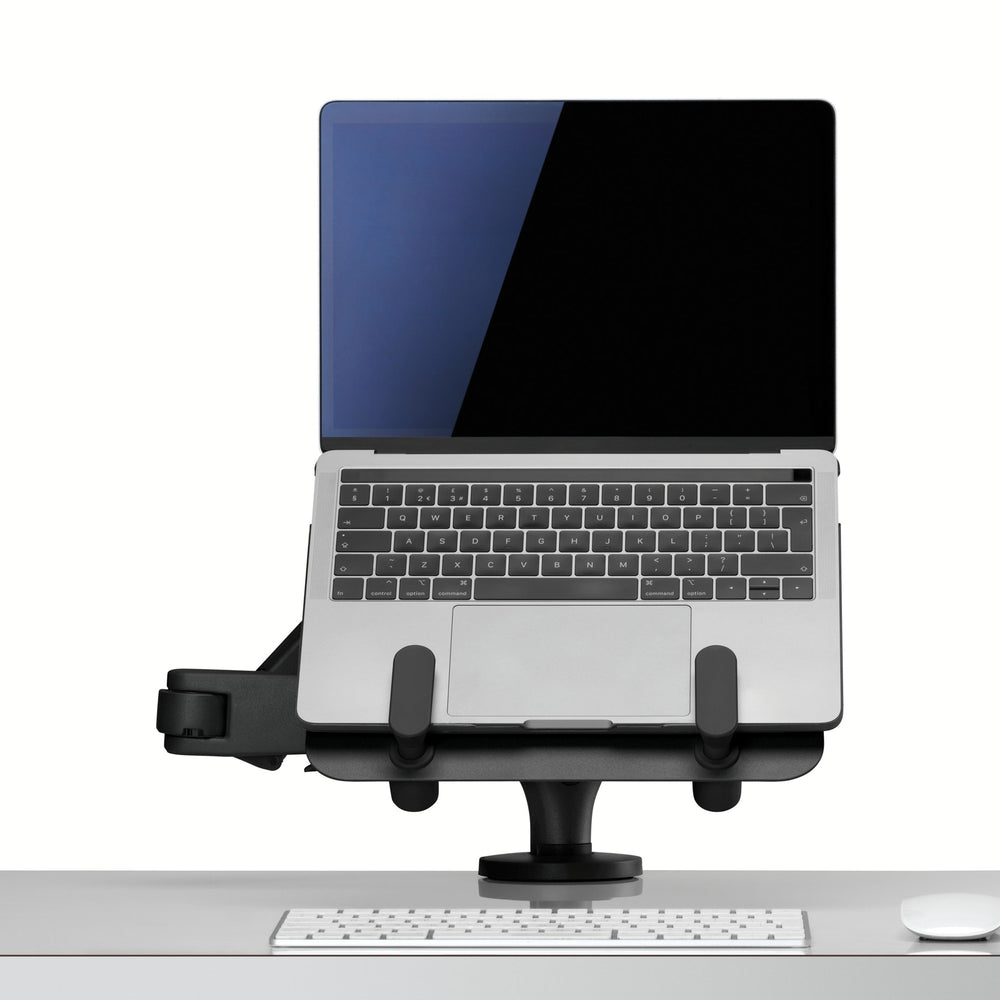 Ollin holder for laptop og nettbrett